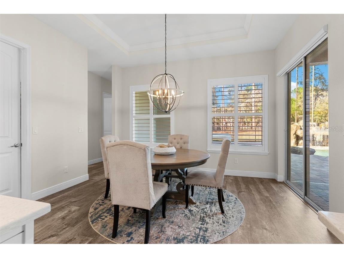 15547 Sago Drive Brooksville FL 34604 TB8454051 image15