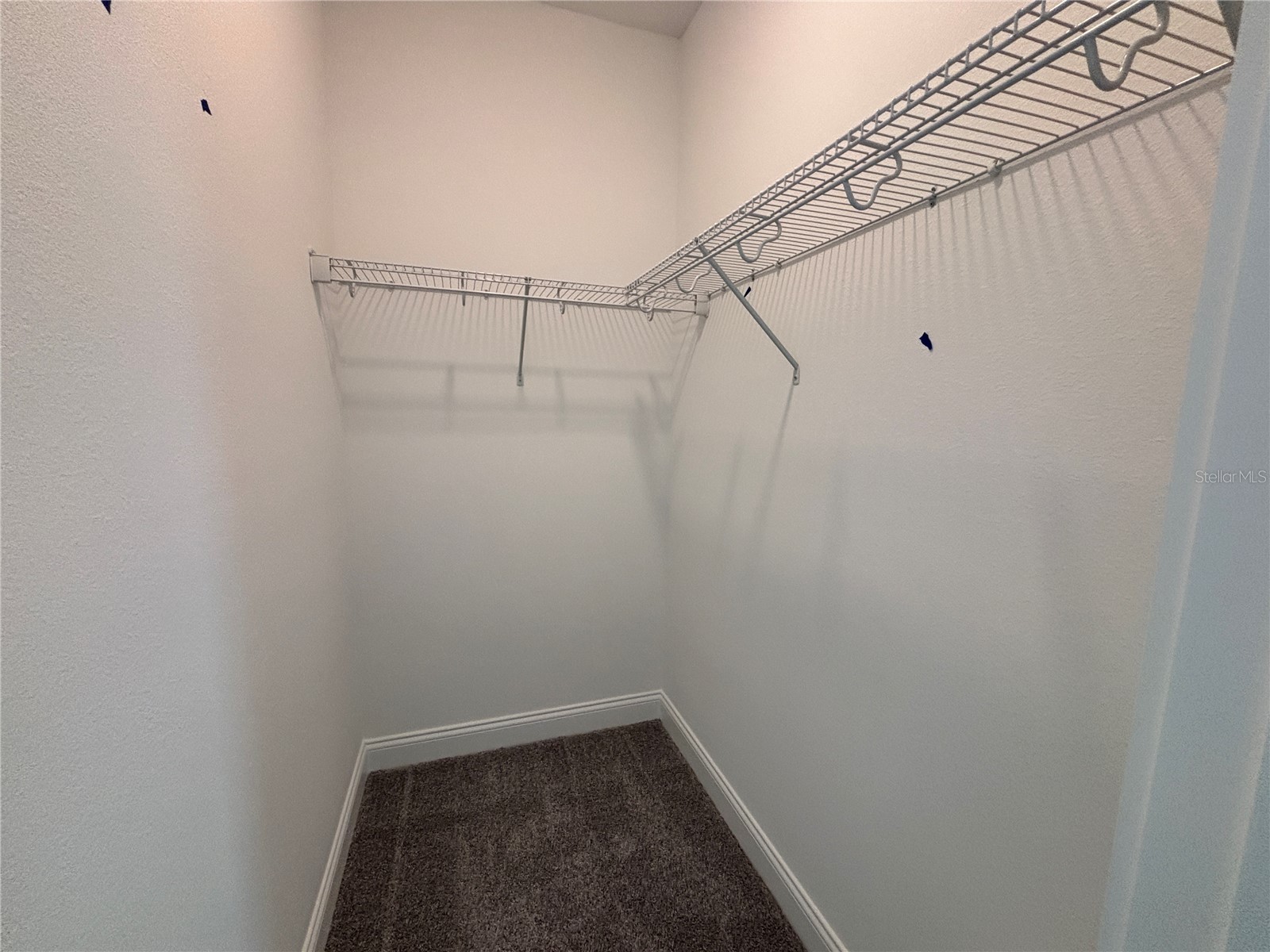 15549 Gentle Rain Drive Winter Garden FL 34787 O6412697 image23
