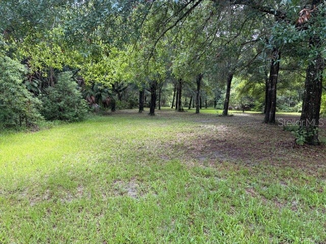 1555 Church Street Pierson FL 32180 V4949673 image19