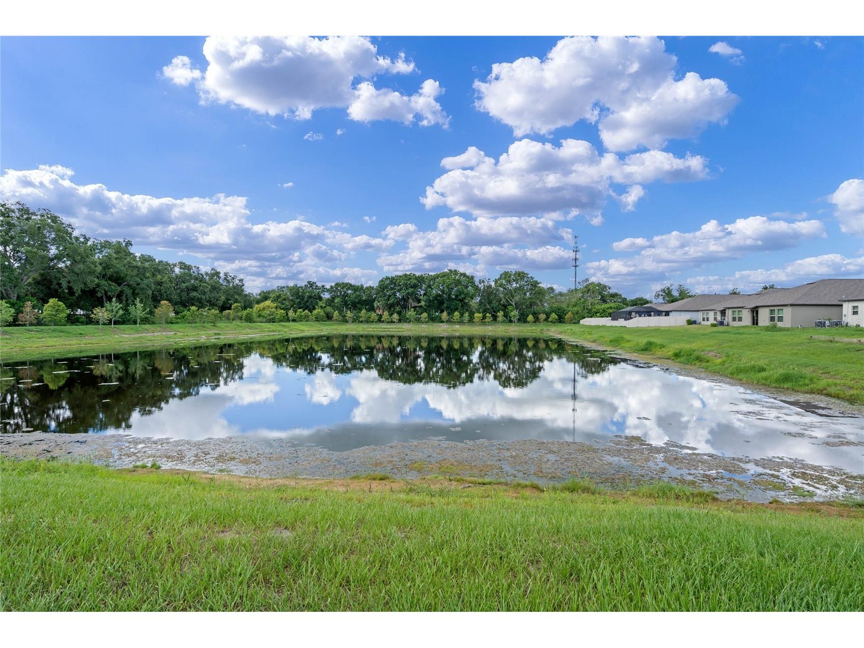 1555 Colding Drive Ruskin FL 33570 A4689506 image33