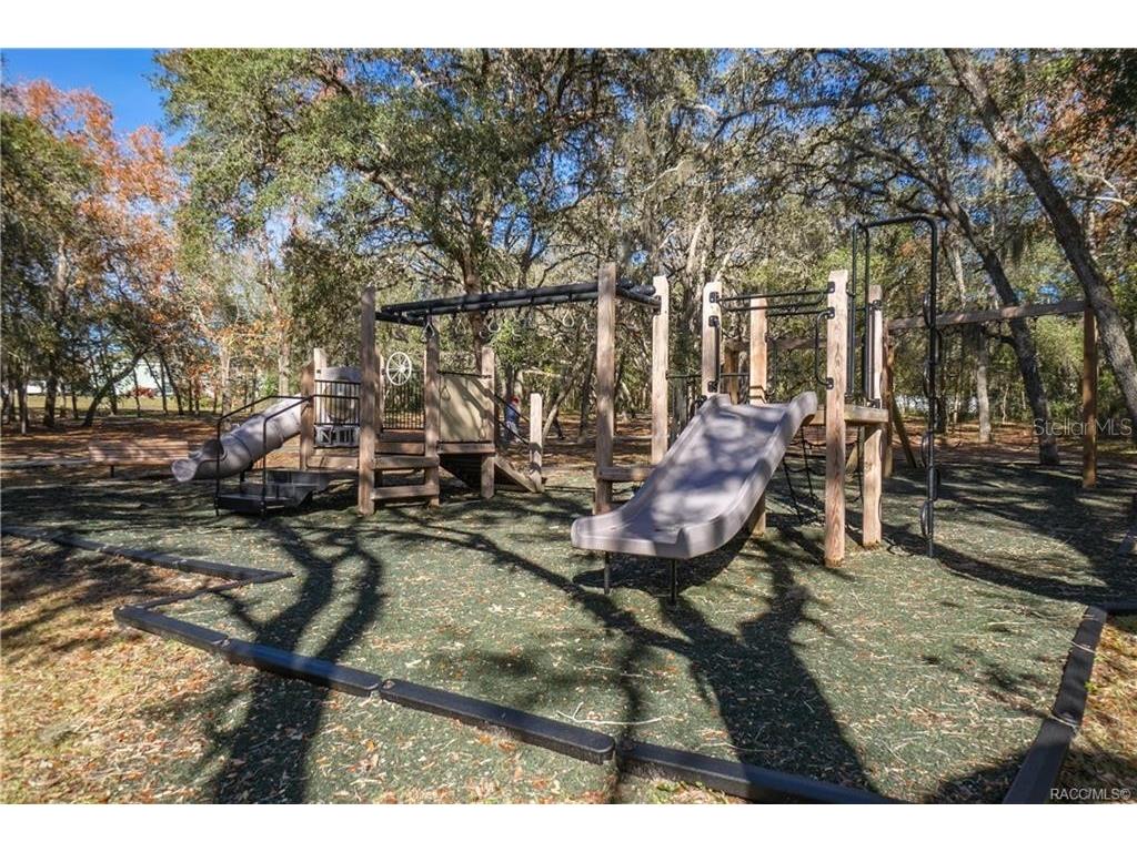 1555 E Seattle Slew Circle Inverness FL 34453 OM724382 image64