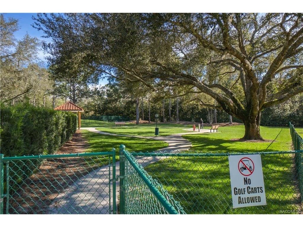 1555 E Seattle Slew Circle Inverness FL 34453 OM724382 image66