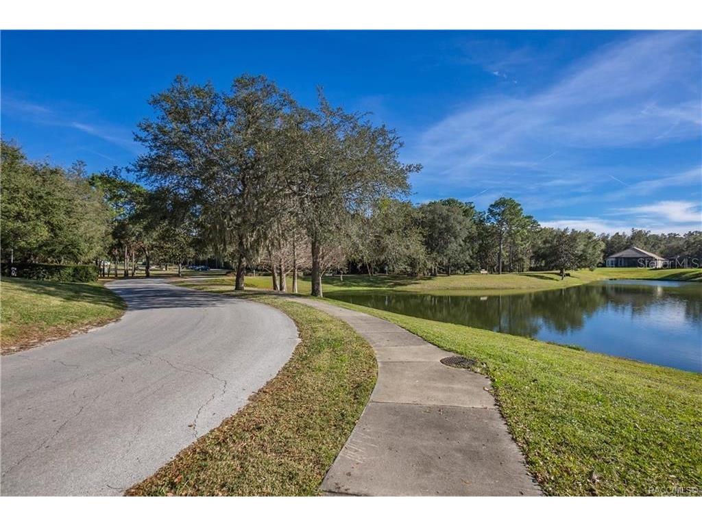 1555 E Seattle Slew Circle Inverness FL 34453 OM724382 image69