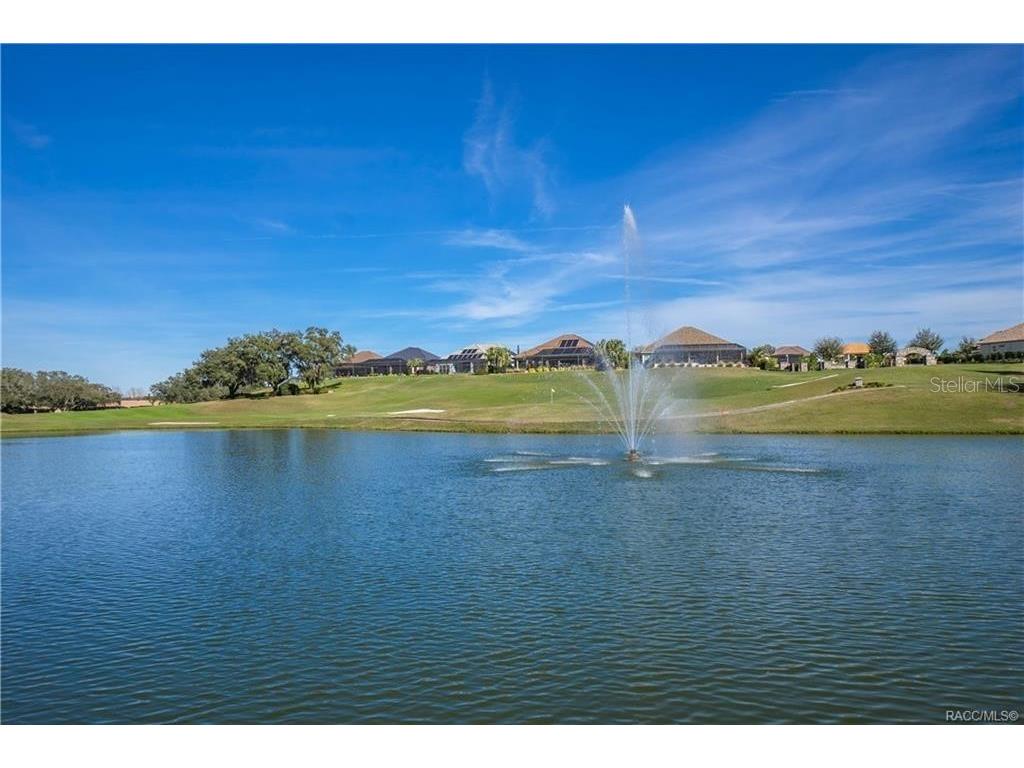 1555 E Seattle Slew Circle Inverness FL 34453 OM724382 image74