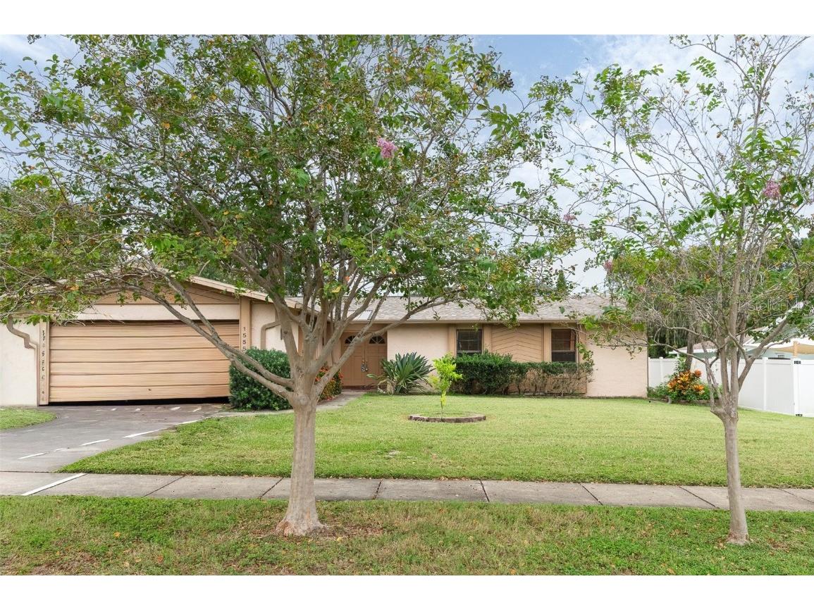 1555 Fife Court Dunedin FL 34698 TB8424988 image1