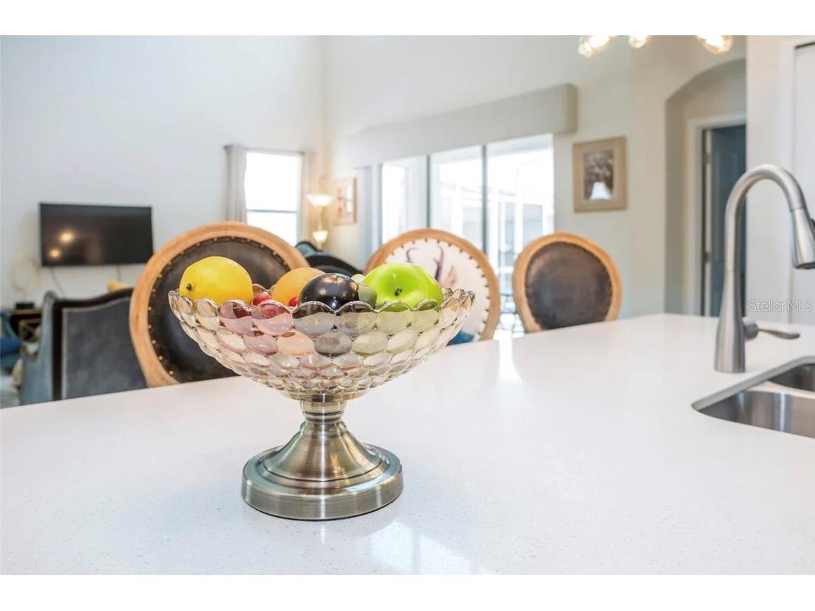 1555 Flange Drive Davenport FL 33896 O6291777 image17