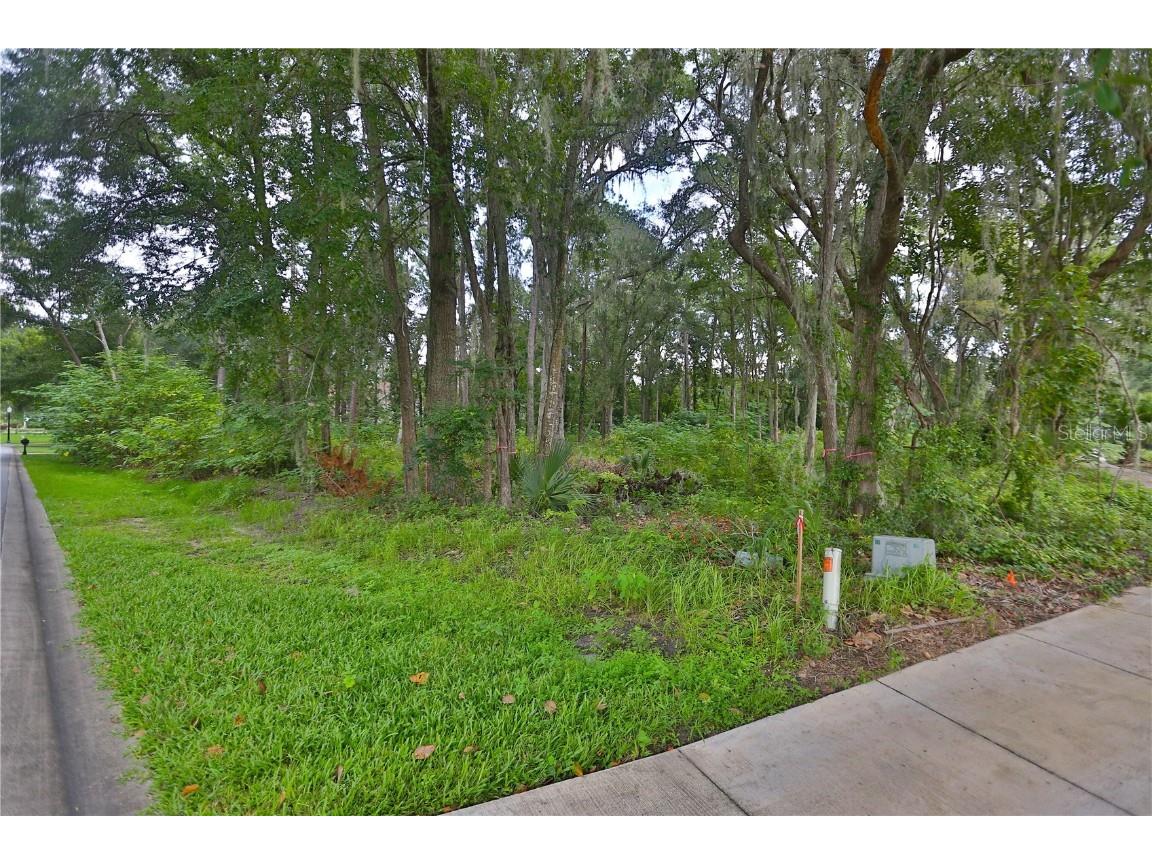 1555 SE 73rd Place Ocala FL 34480 OM661083 image1