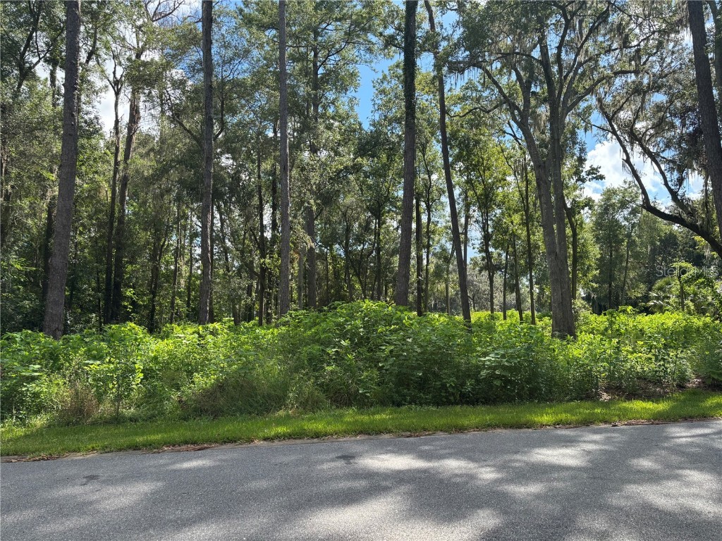 1555 SE 73rd Place Ocala FL 34480 OM700429 image4