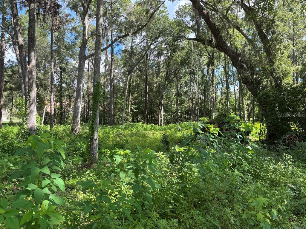 1555 SE 73rd Place Ocala FL 34480 OM700429 image5