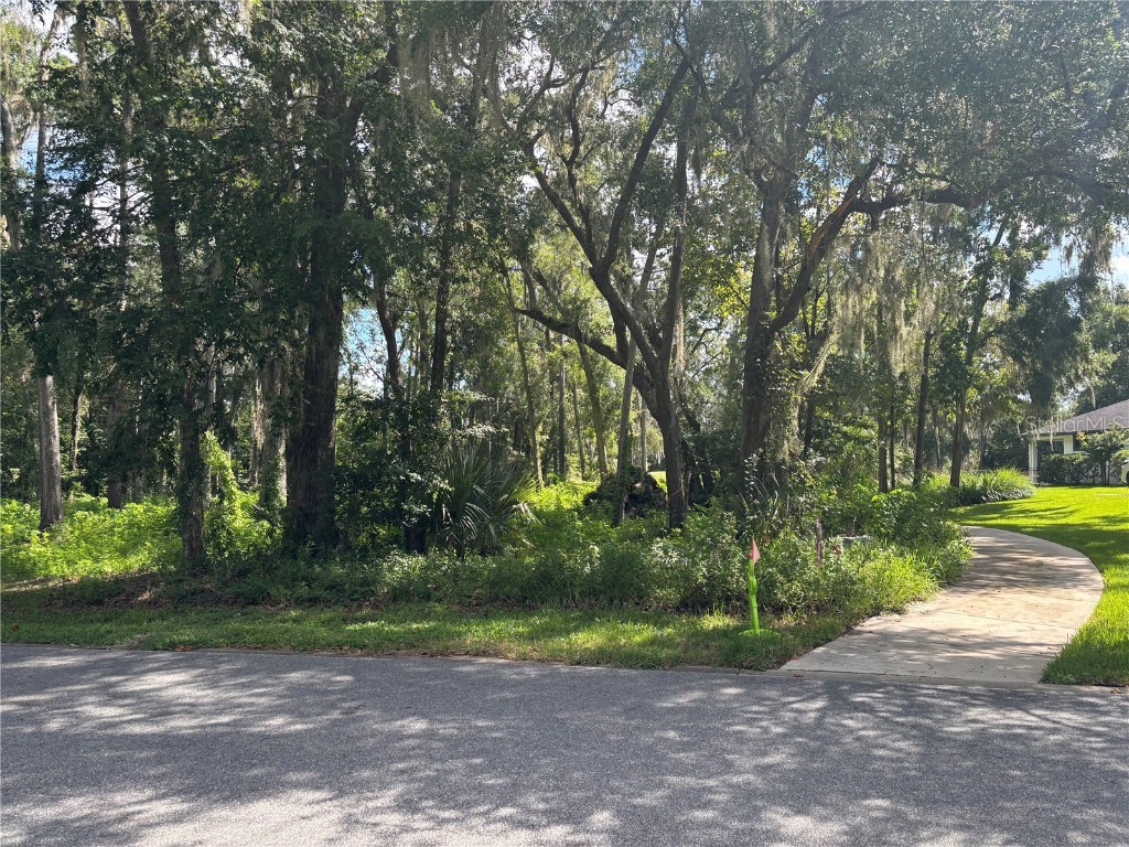 1555 SE 73rd Place Ocala FL 34480 OM700429 image8