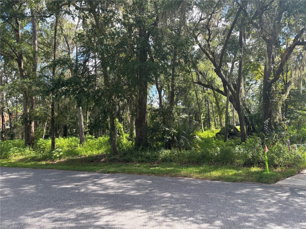 1555 SE 73rd Place Ocala FL 34480 OM700429 image9