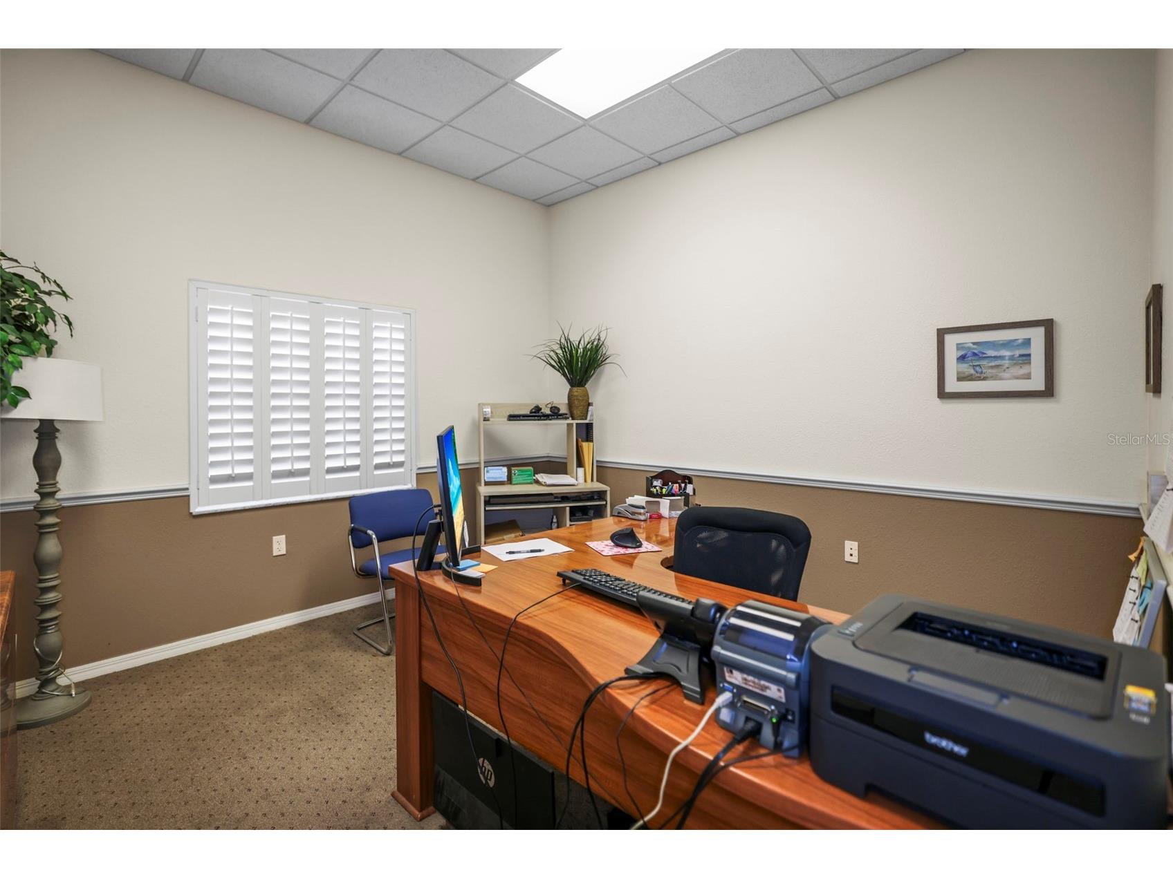 1555 Sunshine Drive Clearwater FL 33765 TB8476846 image39