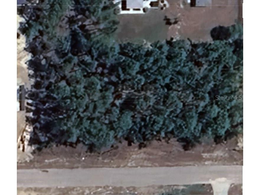1555 W Gainsboro Lane Citrus Springs FL 34434 O6247941 image1