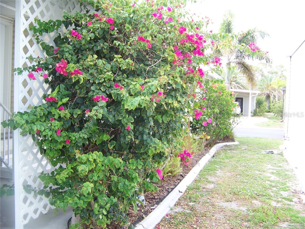 15550 Burnt Store Road #128 Punta Gorda FL 33955 A4652309 image10