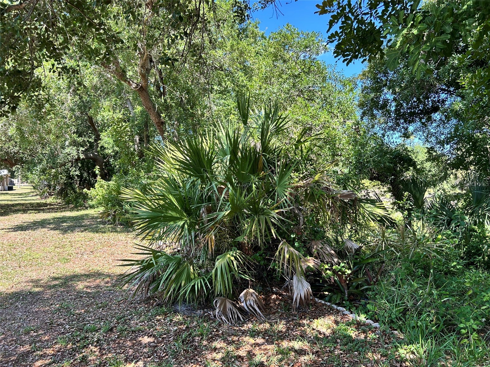 15550 Burnt Store Road #60 Punta Gorda FL 33955 O6397700 image10