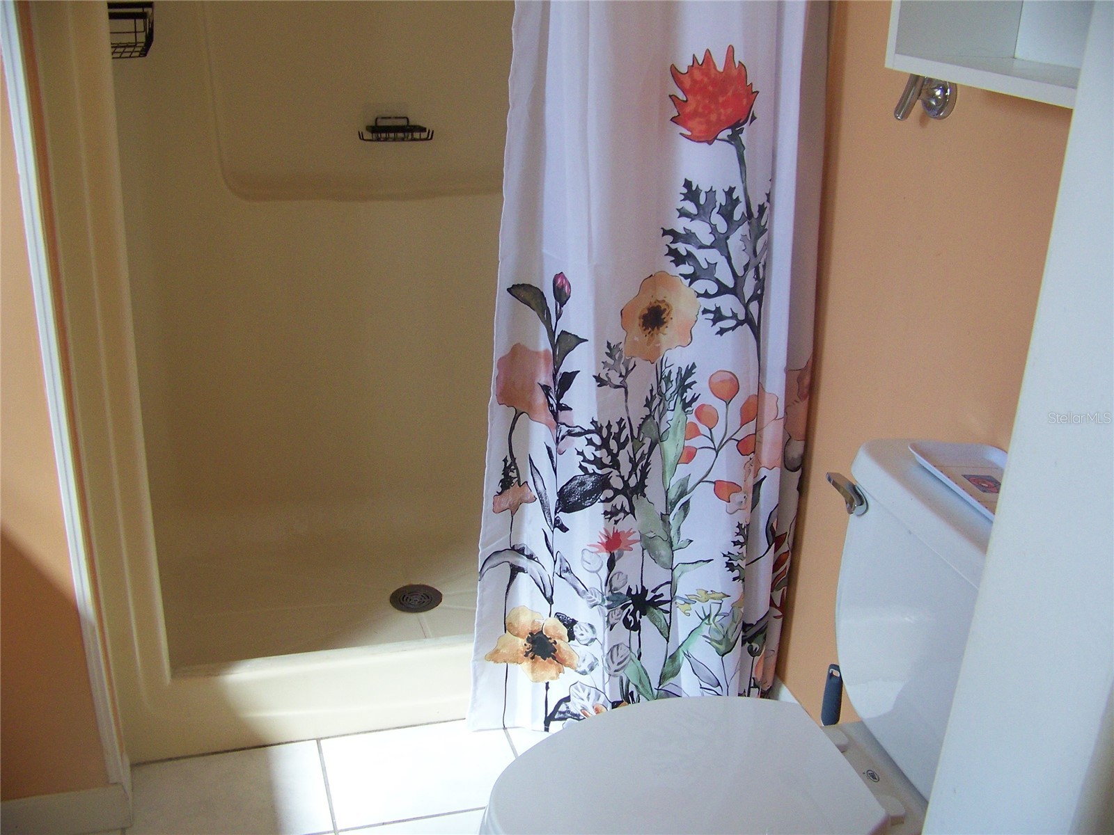 15550 Burnt Store Road #72 Punta Gorda FL 33955 A4684023 image33