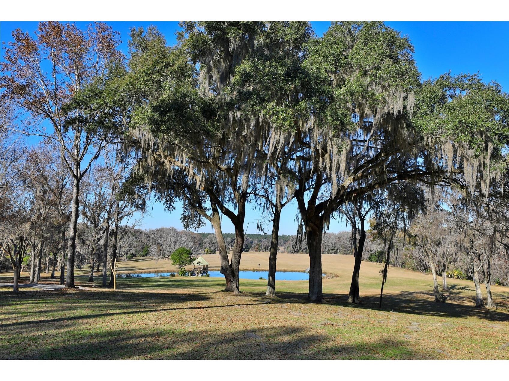 15551 NW Highway 225 Reddick FL 32686 OM717740 image39