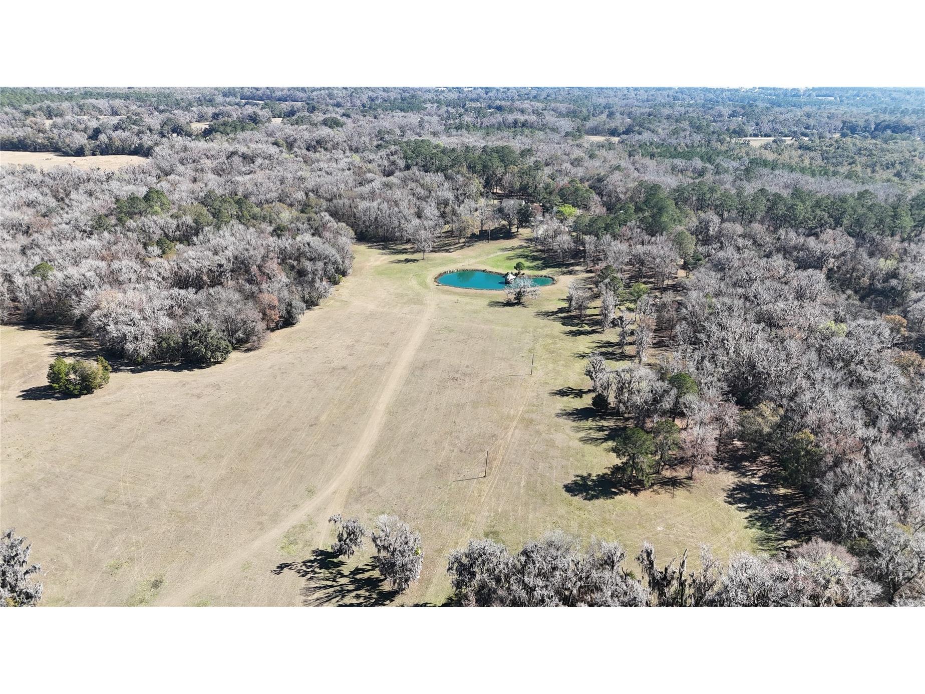 15551 NW Highway 225 Reddick FL 32686 OM717740 image64