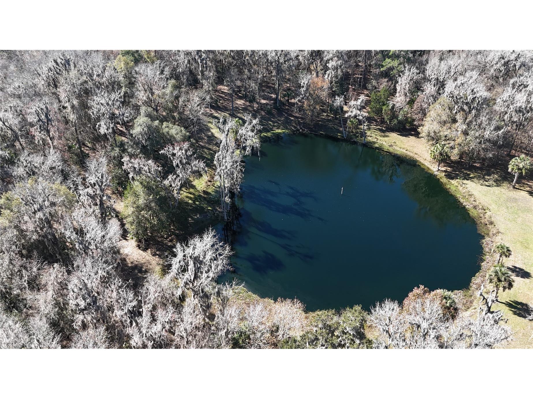 15551 NW Highway 225 Reddick FL 32686 OM717740 image69