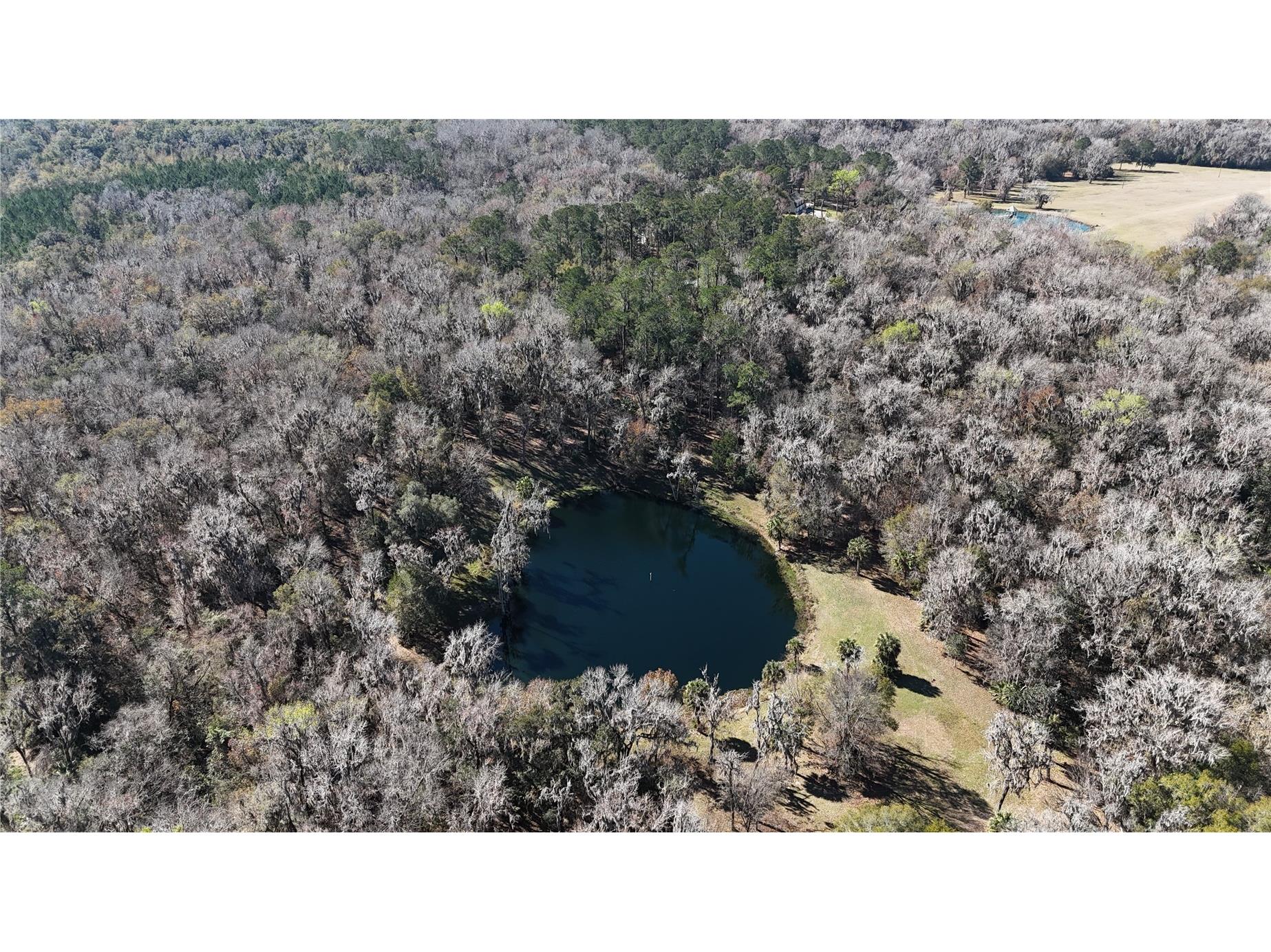 15551 NW Highway 225 Reddick FL 32686 OM717740 image70