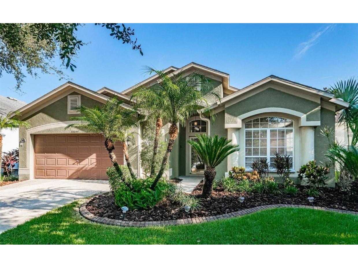 15554 Martinmeadow Drive Lithia FL 33547 T3466725 image1