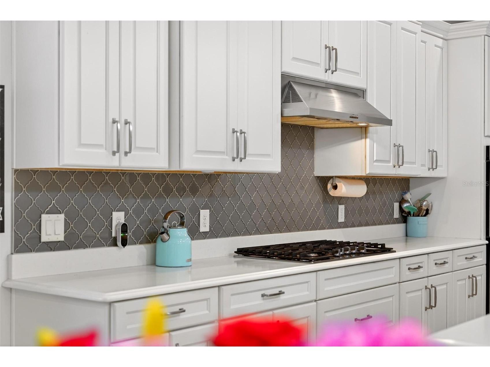 15554 Panther Lake Drive Winter Garden FL 34787 O6405046 image21