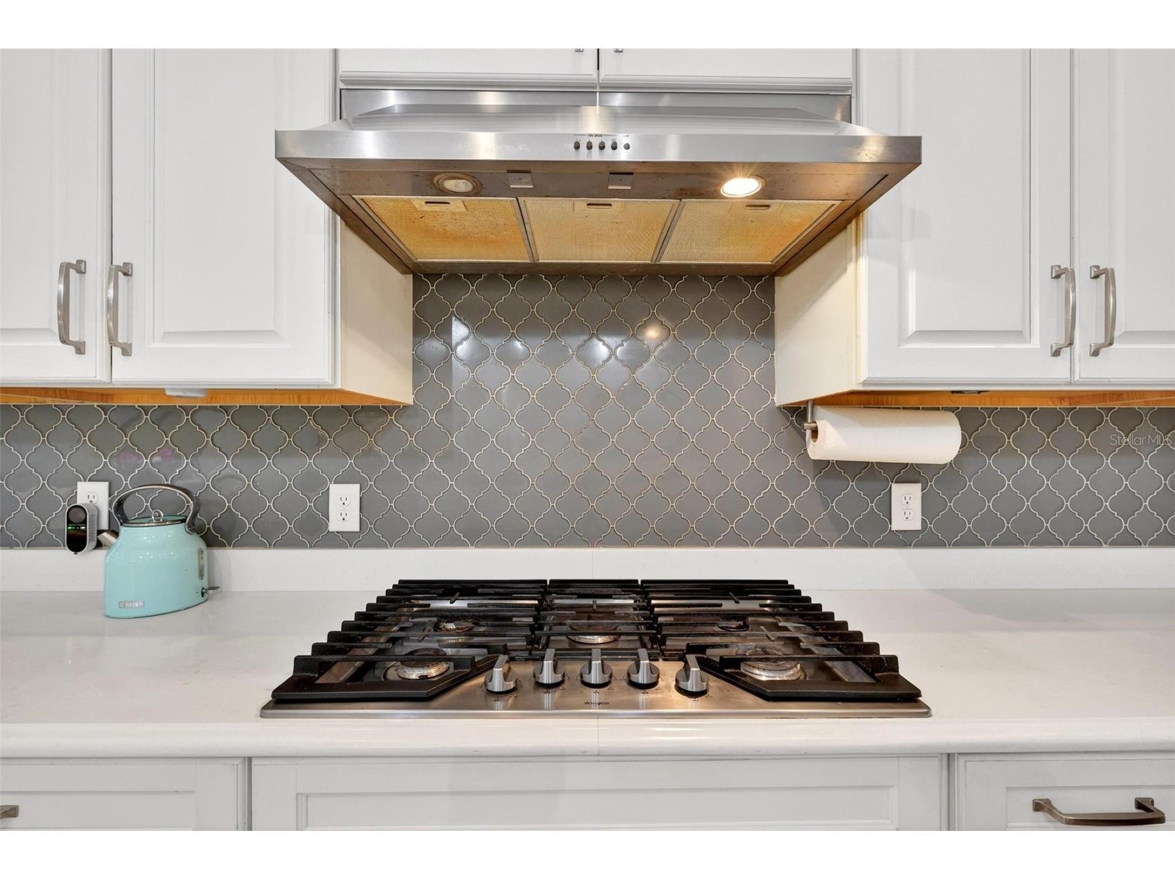 15554 Panther Lake Drive Winter Garden FL 34787 O6405046 image22