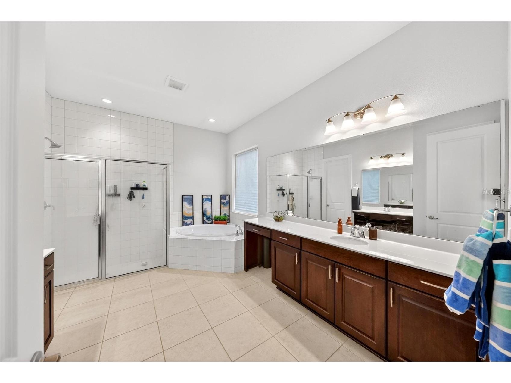15554 Panther Lake Drive Winter Garden FL 34787 O6405046 image42