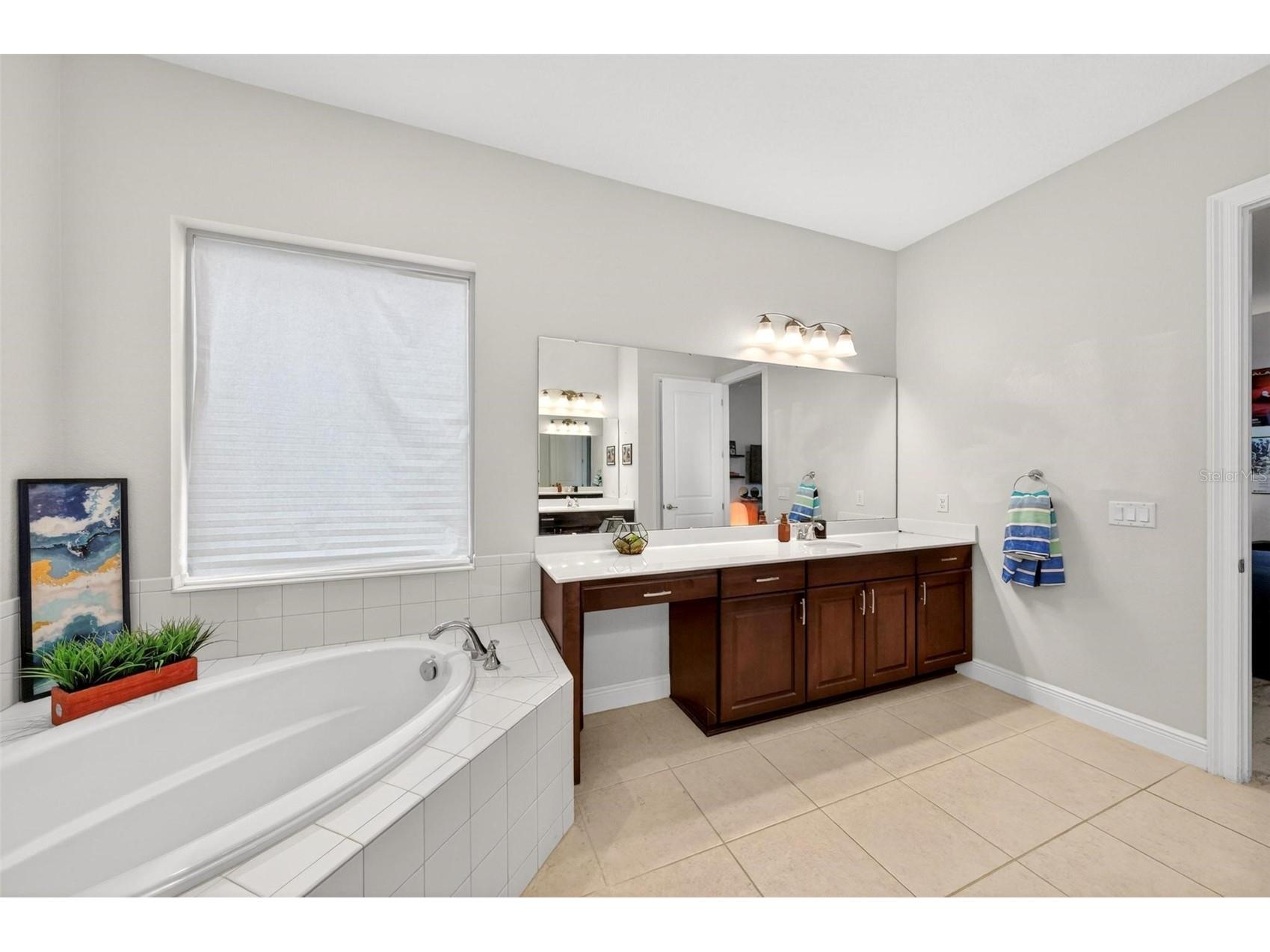 15554 Panther Lake Drive Winter Garden FL 34787 O6405046 image44