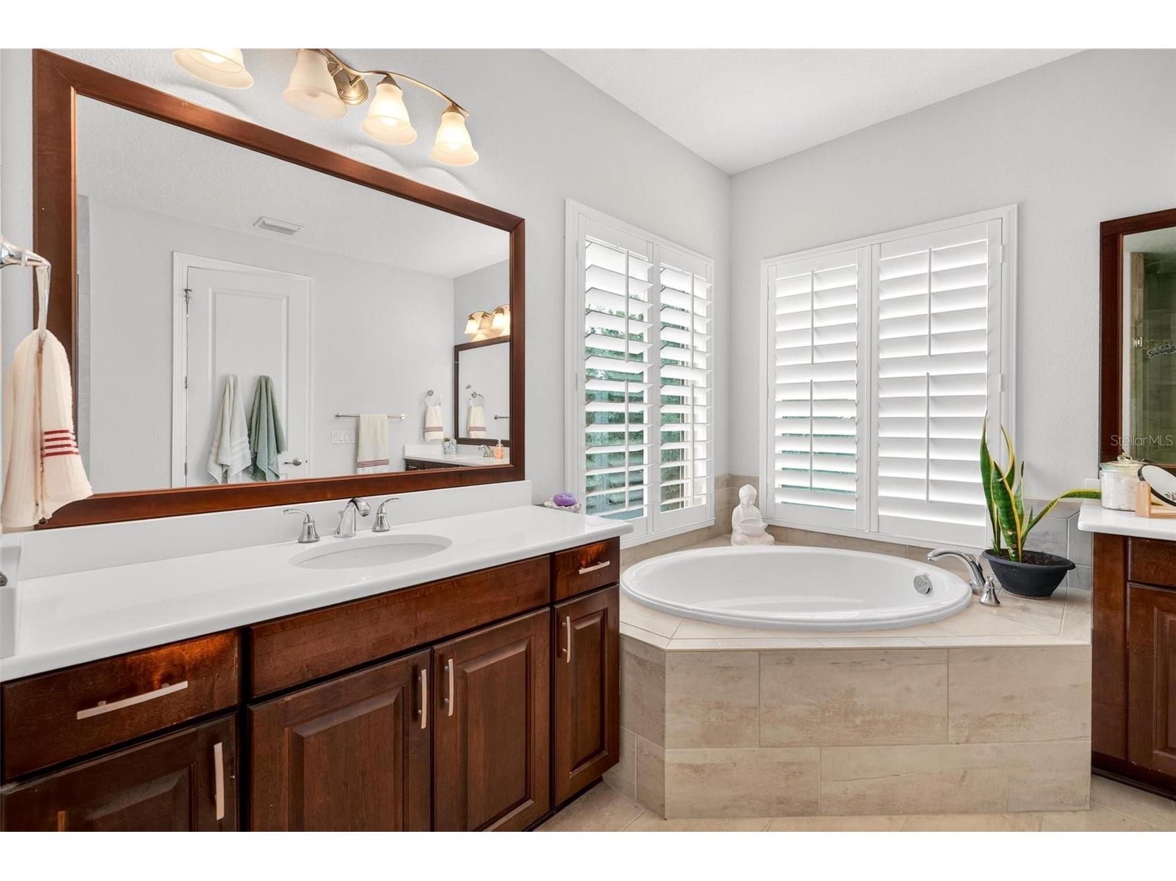 15554 Panther Lake Drive Winter Garden FL 34787 O6405046 image56