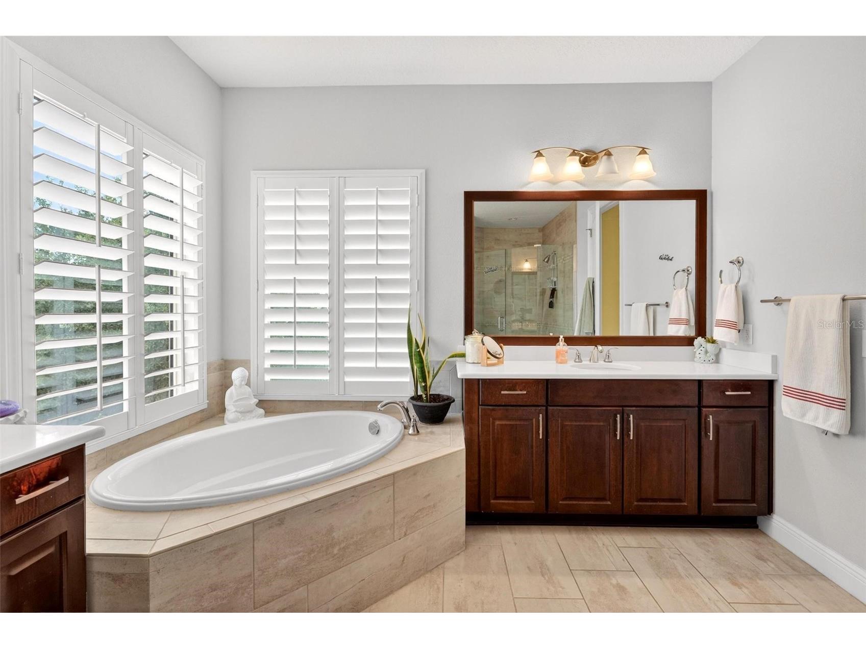 15554 Panther Lake Drive Winter Garden FL 34787 O6405046 image57