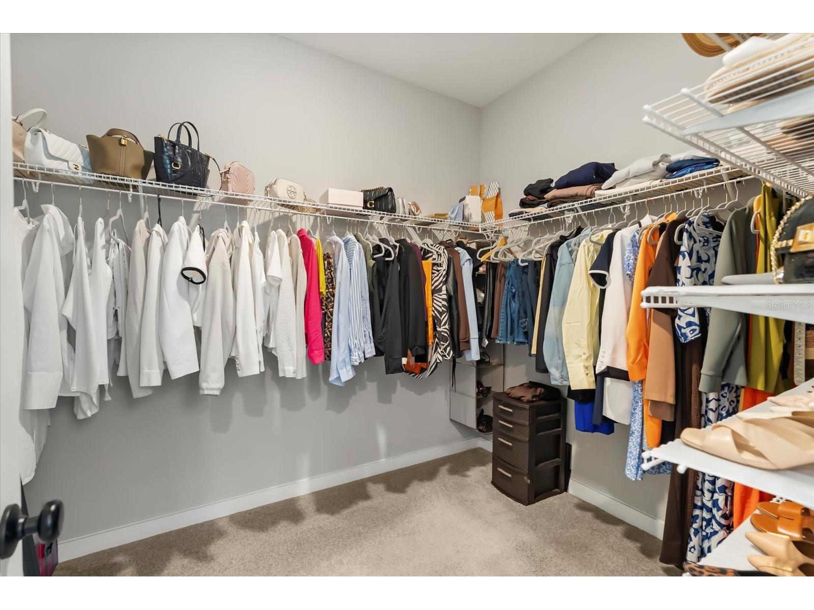 1556 Coluso Drive Winter Garden FL 34787 O6377620 image16