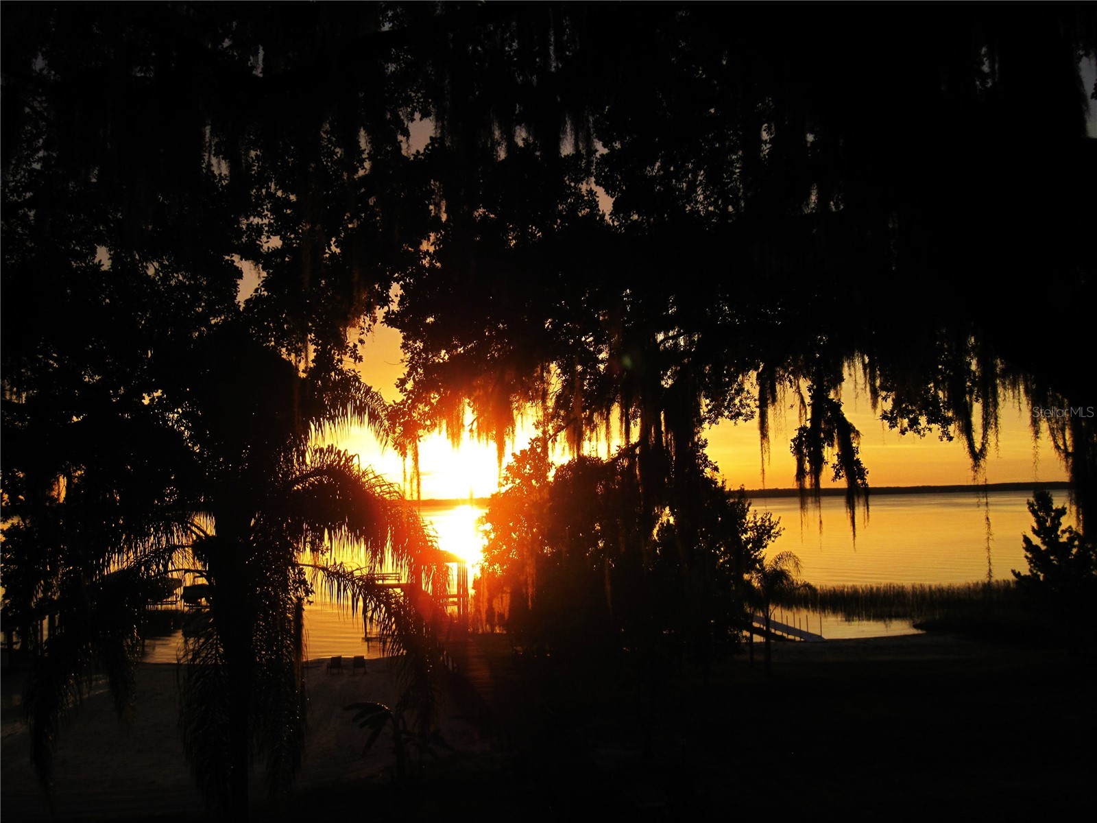 15562 SE 138th Terrace Weirsdale FL 32195 G5114702 image4