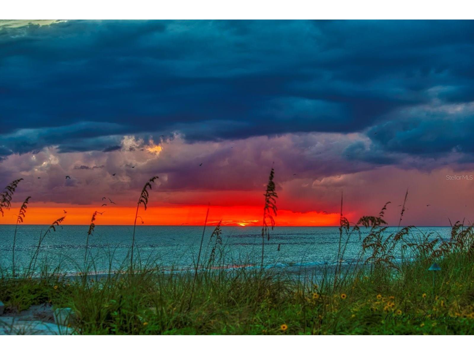 15564 Gulf Boulevard Redington Beach FL 33708 TB8465308 image57