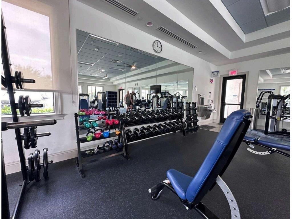 15567 Corona Del Mar Drive Wimauma FL 33598 TB8444580 image16