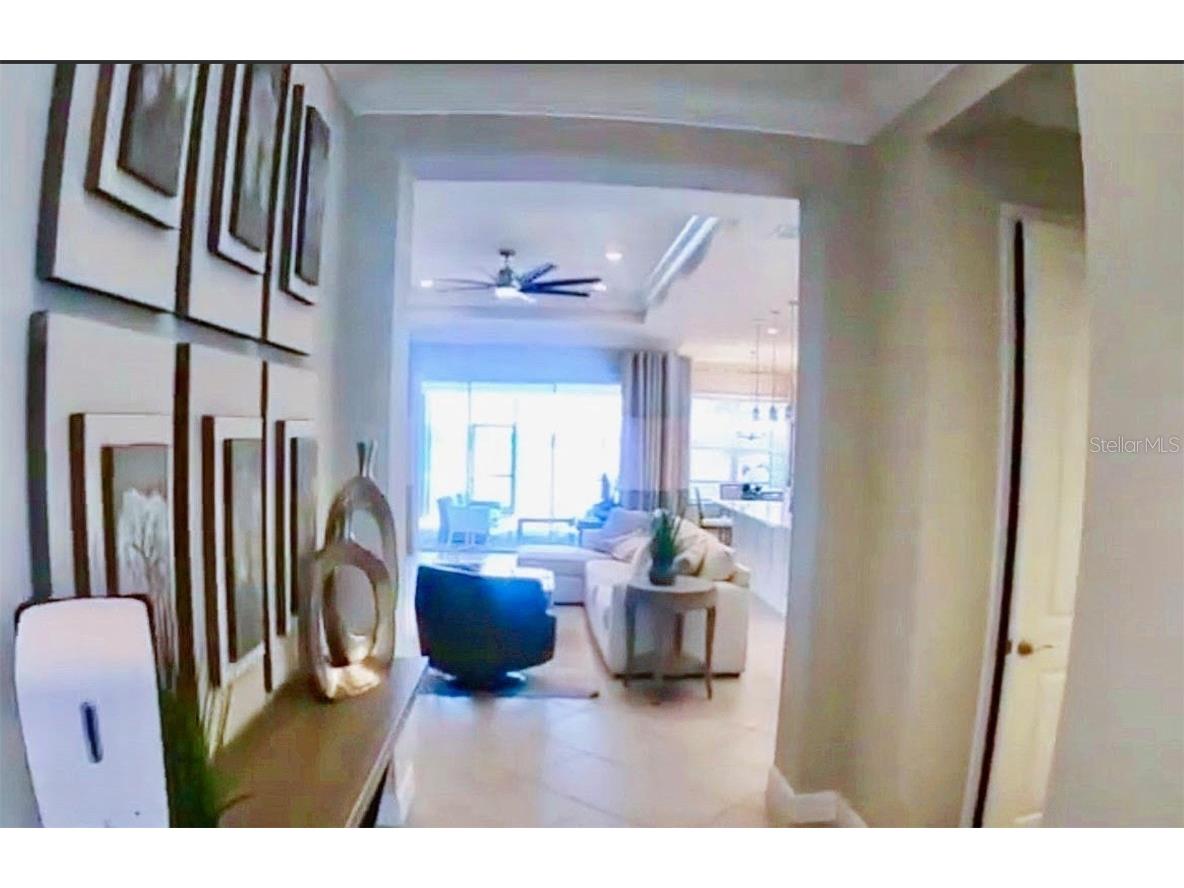 15567 Corona Del Mar Drive Wimauma FL 33598 TB8444580 image2