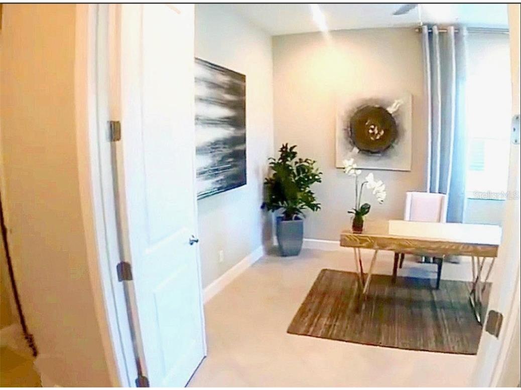 15567 Corona Del Mar Drive Wimauma FL 33598 TB8444580 image4