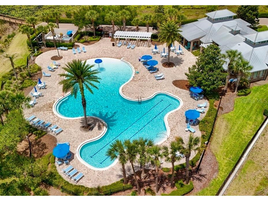 15568 Blackbead Street Winter Garden FL 34787 O6408861 image2