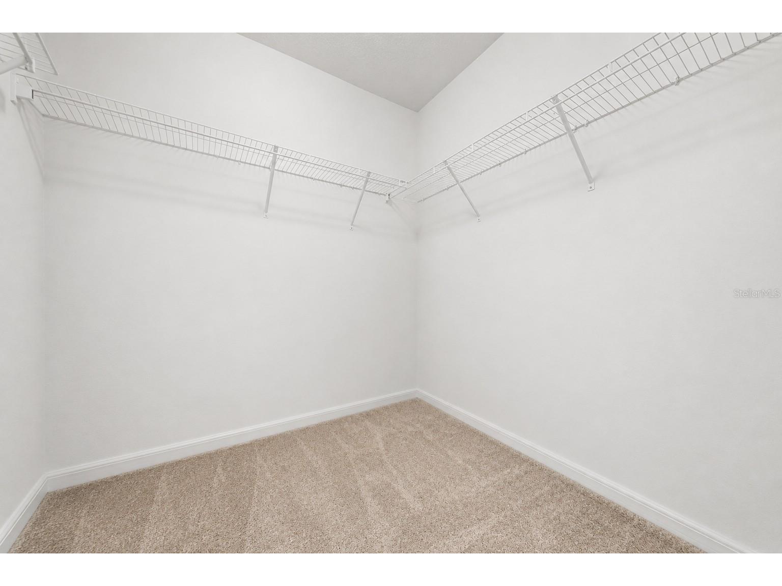 15568 Blackbead Street Winter Garden FL 34787 O6408861 image20