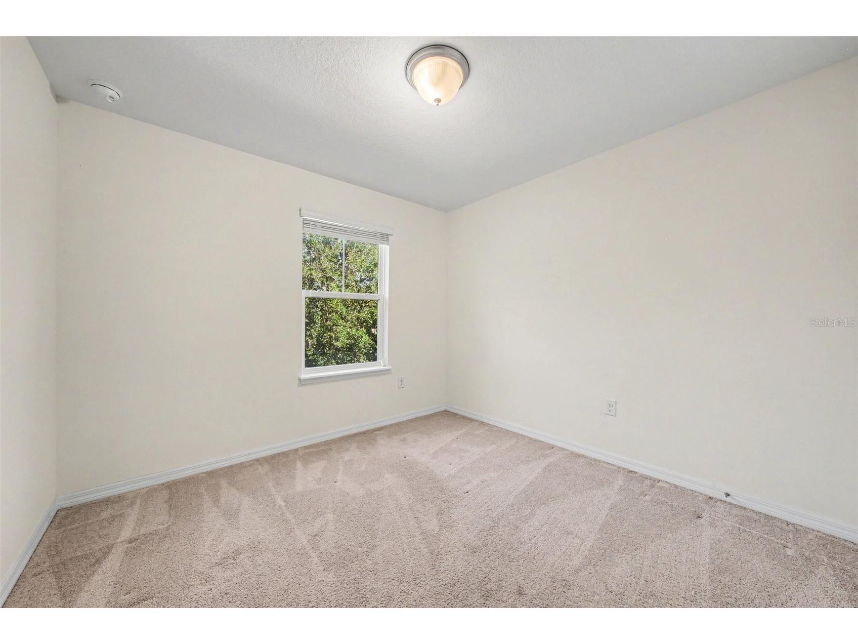 15568 Blackbead Street Winter Garden FL 34787 O6408861 image22