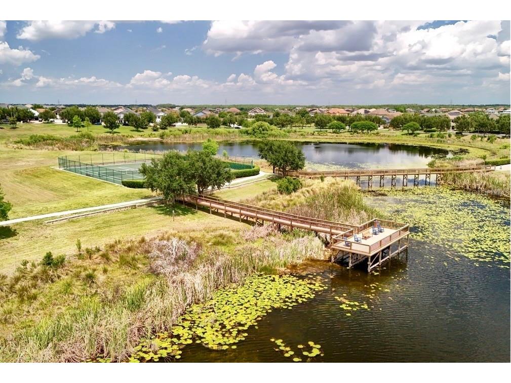 15568 Blackbead Street Winter Garden FL 34787 O6408861 image25