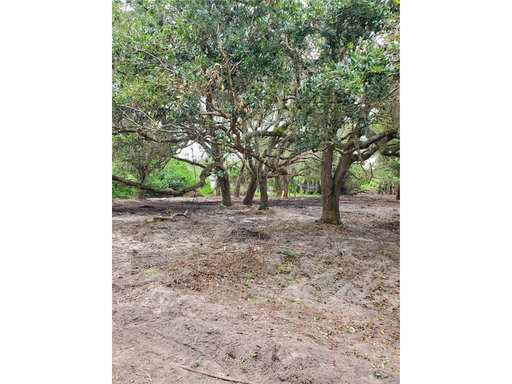 1557 New London Street North Port FL 34288 O6045139 image1