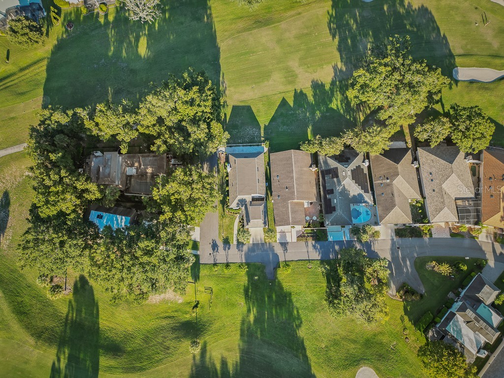 1557 Oak Tree Court Apopka FL 32712 O6333217 image2