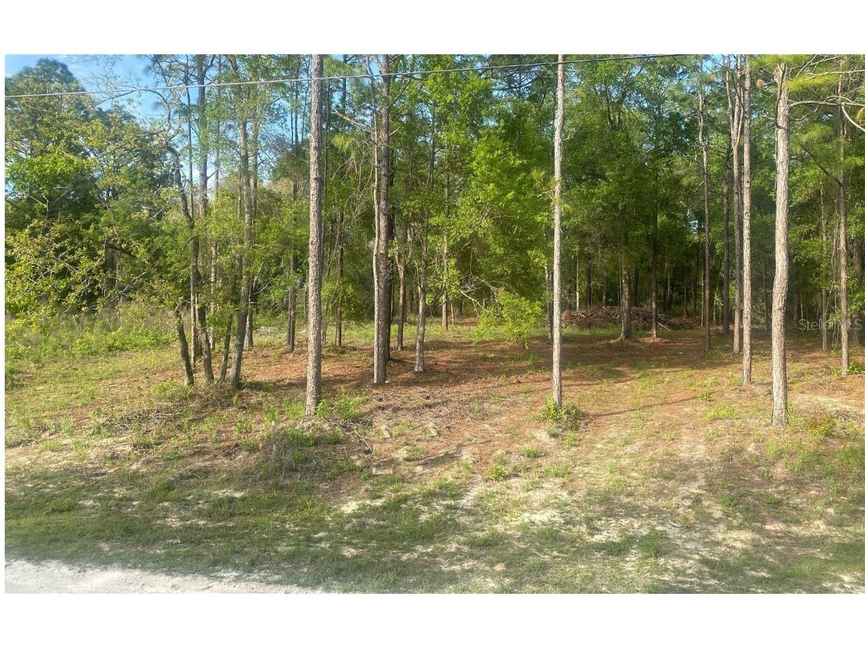 15570 Cliff Swallow Road Weeki Wachee FL 34614 TB8452443 image1