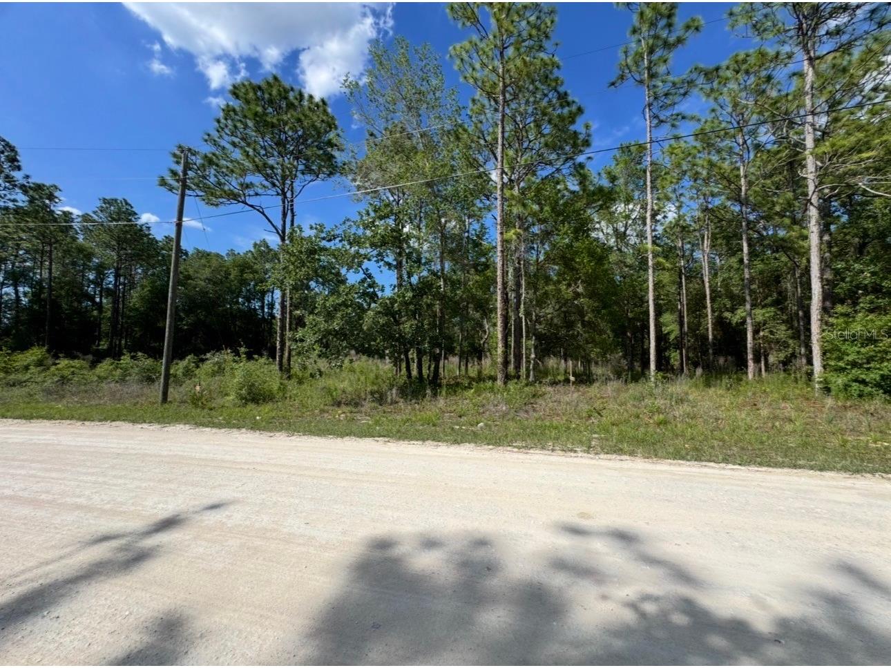 15570 Cliff Swallow Road Weeki Wachee FL 34614 TB8510097 image6