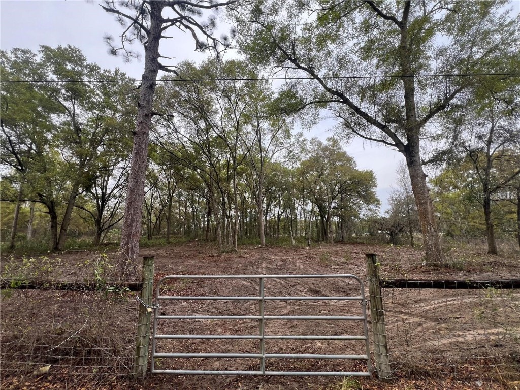 15574 Rockingham Lane Spring Hill FL 34610 TB8461635 image1