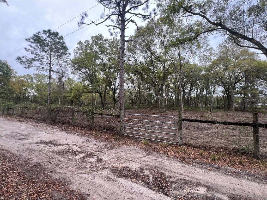 15574 Rockingham Lane Spring Hill FL 34610 TB8461635 image2