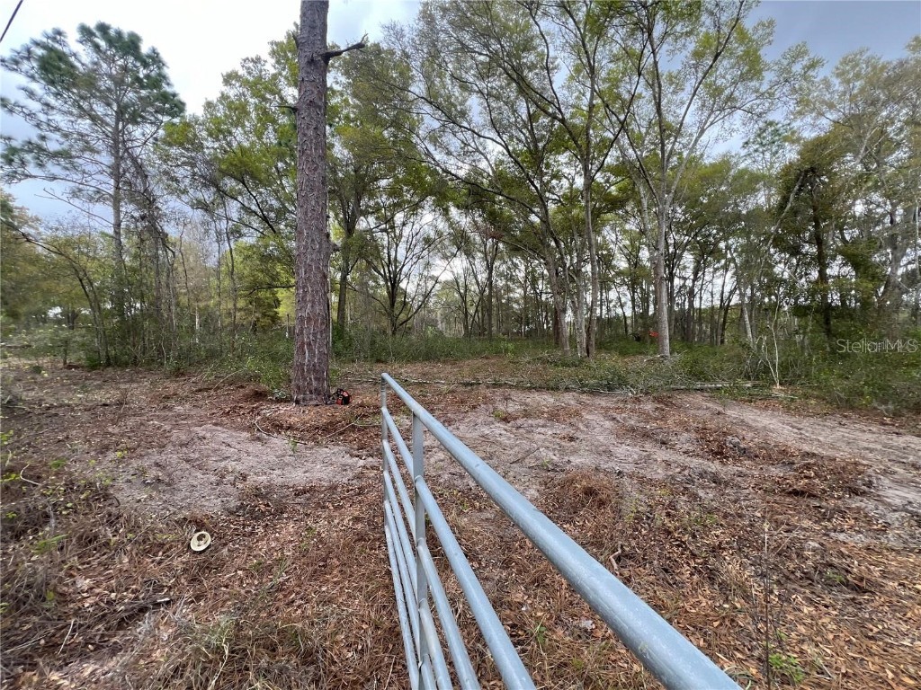 15574 Rockingham Lane Spring Hill FL 34610 TB8461635 image3