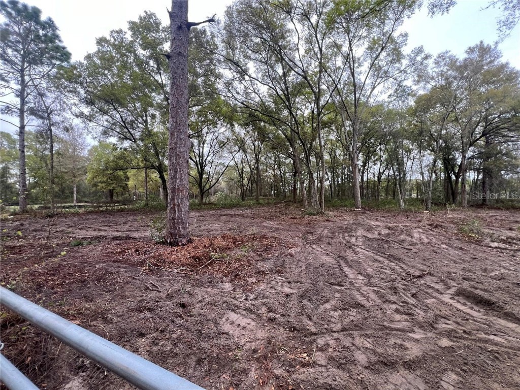 15574 Rockingham Lane Spring Hill FL 34610 TB8461635 image4