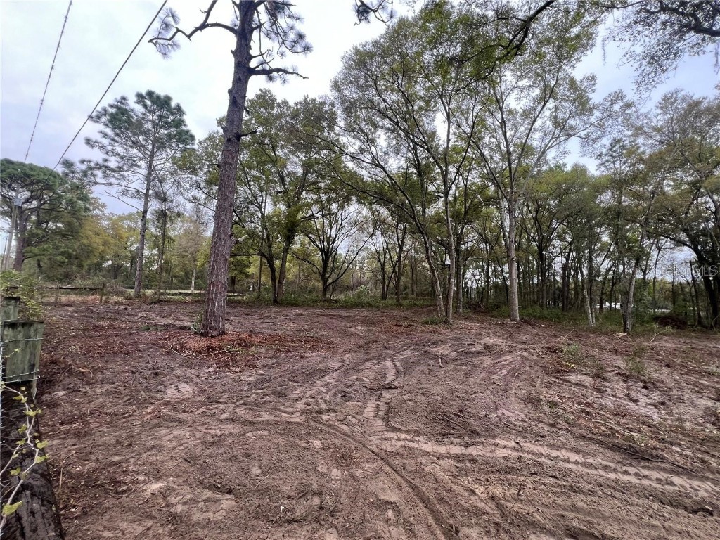 15574 Rockingham Lane Spring Hill FL 34610 TB8461635 image5